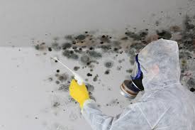 Best Real Estate Mold Inspection  in Biddeford, ME